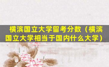 横滨国立大学留考分数（横滨国立大学相当于国内什么大学）