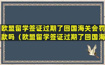 欧盟留学签证过期了回国海关会罚款吗（欧盟留学签证过期了回国海关会罚款吗多少钱）