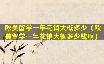 欧美留学一年花销大概多少（欧美留学一年花销大概多少钱啊）