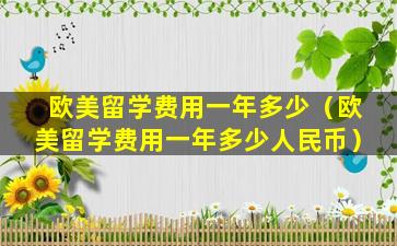 欧美留学费用一年多少（欧美留学费用一年多少人民币）