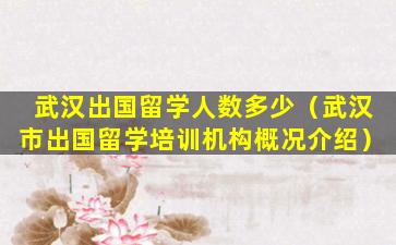 武汉出国留学人数多少（武汉市出国留学培训机构概况介绍）