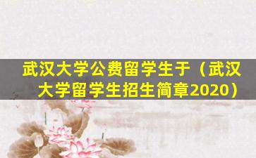 武汉大学公费留学生于（武汉大学留学生招生简章2020）
