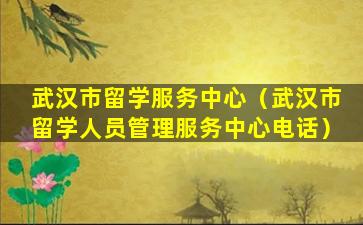 武汉市留学服务中心（武汉市留学人员管理服务中心电话）