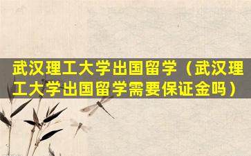 武汉理工大学出国留学（武汉理工大学出国留学需要保证金吗）