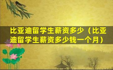 比亚迪留学生薪资多少（比亚迪留学生薪资多少钱一个月）