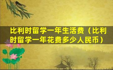 比利时留学一年生活费（比利时留学一年花费多少人民币）