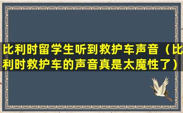 比利时留学生听到救护车声音（比利时救护车的声音真是太魔性了）