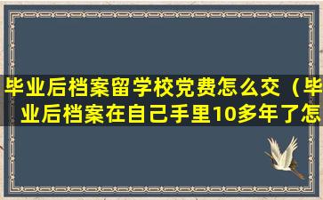 毕业后档案留学校党费怎么交（毕业后档案在自己手里10多年了怎么办）