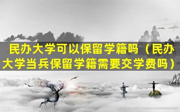 民办大学可以保留学籍吗（民办大学当兵保留学籍需要交学费吗）