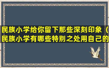 民族小学给你留下那些深刻印象（民族小学有哪些特别之处用自己的话做简单介绍）