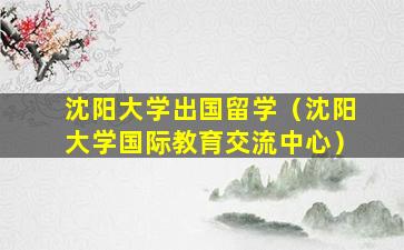 沈阳大学出国留学（沈阳大学国际教育交流中心）