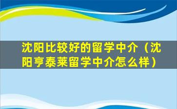 沈阳比较好的留学中介（沈阳亨泰莱留学中介怎么样）