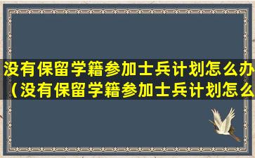 没有保留学籍参加士兵计划怎么办（没有保留学籍参加士兵计划怎么办手续）