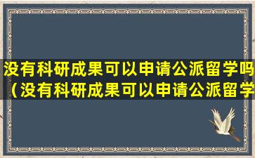 没有科研成果可以申请公派留学吗（没有科研成果可以申请公派留学吗知乎）