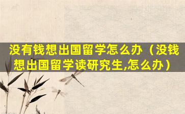 没有钱想出国留学怎么办（没钱想出国留学读研究生,怎么办）