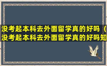 没考起本科去外面留学真的好吗（没考起本科去外面留学真的好吗知乎）