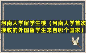 河南大学留学生楼（河南大学首次接收的外国留学生来自哪个国家）