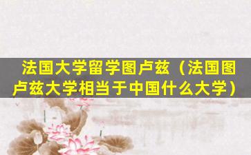 法国大学留学图卢兹（法国图卢兹大学相当于中国什么大学）