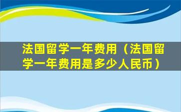 法国留学一年费用（法国留学一年费用是多少人民币）