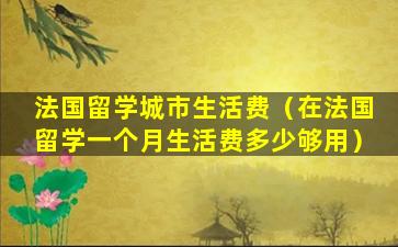 法国留学城市生活费（在法国留学一个月生活费多少够用）