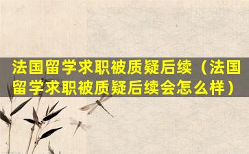 法国留学求职被质疑后续（法国留学求职被质疑后续会怎么样）