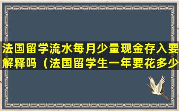 法国留学流水每月少量现金存入要解释吗（法国留学生一年要花多少人民币）
