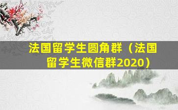 法国留学生圆角群（法国留学生微信群2020）