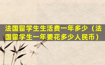 法国留学生生活费一年多少（法国留学生一年要花多少人民币）