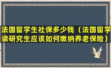 法国留学生社保多少钱（法国留学读研究生应该如何缴纳养老保险）