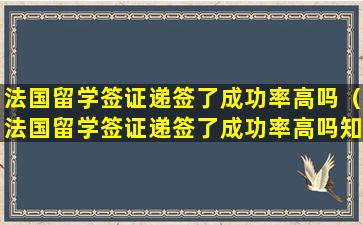 法国留学签证递签了成功率高吗（法国留学签证递签了成功率高吗知乎）
