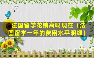 法国留学花销高吗现在（法国留学一年的费用水平明细）