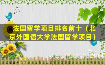 法国留学项目排名前十（北京外国语大学法国留学项目）