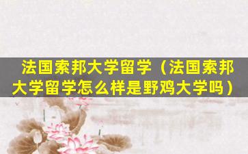 法国索邦大学留学（法国索邦大学留学怎么样是野鸡大学吗）