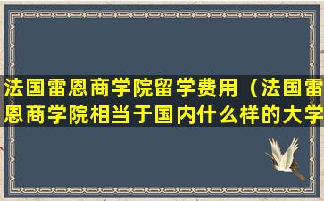 法国雷恩商学院留学费用（法国雷恩商学院相当于国内什么样的大学）