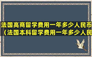 法国高商留学费用一年多少人民币（法国本科留学费用一年多少人民币）