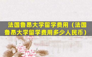 法国鲁昂大学留学费用（法国鲁昂大学留学费用多少人民币）