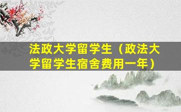 法政大学留学生（政法大学留学生宿舍费用一年）