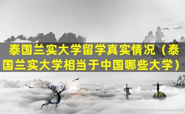 泰国兰实大学留学真实情况（泰国兰实大学相当于中国哪些大学）