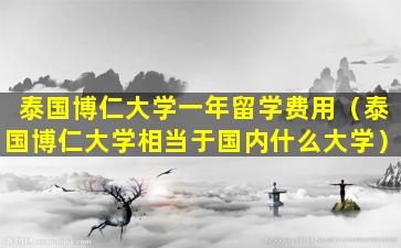 泰国博仁大学一年留学费用（泰国博仁大学相当于国内什么大学）