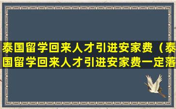 泰国留学回来人才引进安家费（泰国留学回来人才引进安家费一定落户才有吗）