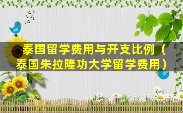 泰国留学费用与开支比例（泰国朱拉隆功大学留学费用）