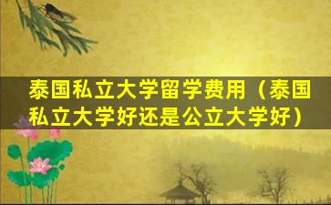 泰国私立大学留学费用（泰国私立大学好还是公立大学好）