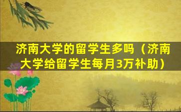 济南大学的留学生多吗（济南大学给留学生每月3万补助）