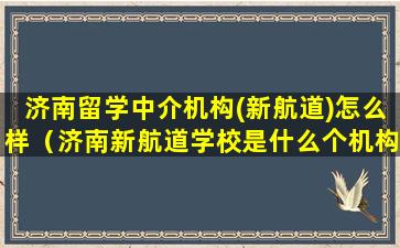 济南留学中介机构(新航道)怎么样（济南新航道学校是什么个机构）