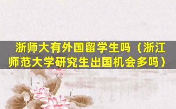 浙师大有外国留学生吗（浙江师范大学研究生出国机会多吗）