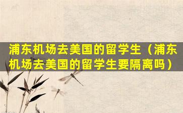 浦东机场去美国的留学生（浦东机场去美国的留学生要隔离吗）