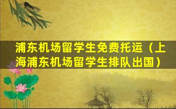 浦东机场留学生免费托运（上海浦东机场留学生排队出国）