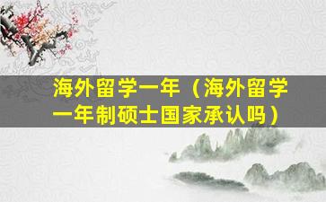 海外留学一年（海外留学一年制硕士国家承认吗）
