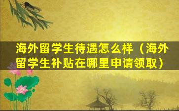 海外留学生待遇怎么样（海外留学生补贴在哪里申请领取）