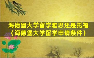 海德堡大学留学雅思还是托福（海德堡大学留学申请条件）